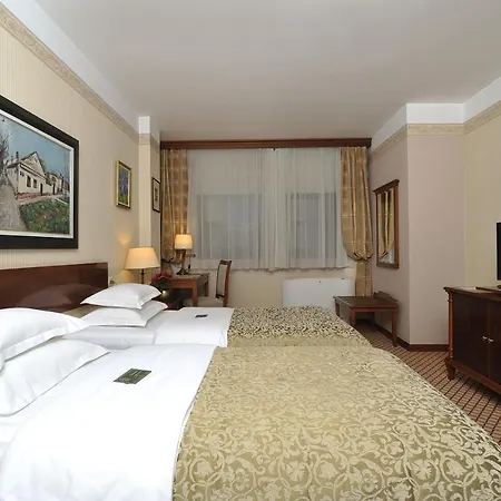 Hotel Zlatnik-3